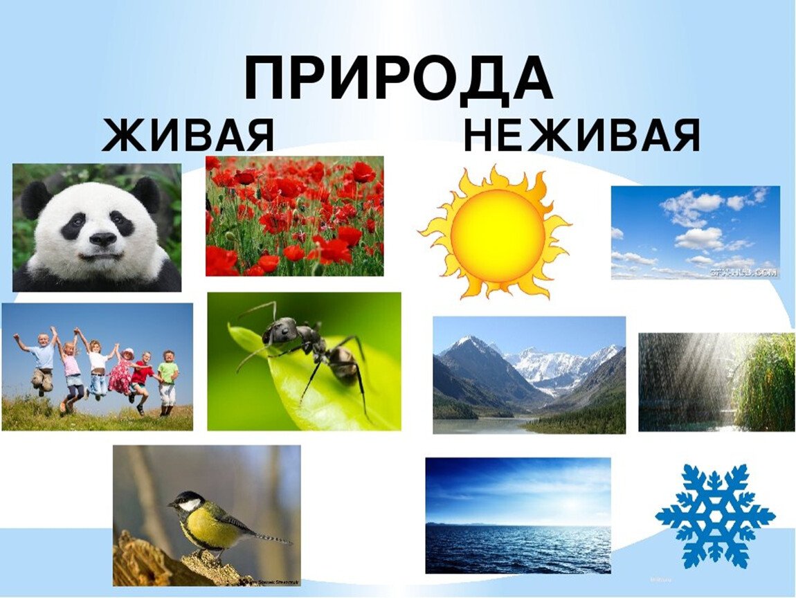 Неживая природа - объекты природы относящиеся к ней - история и культура
