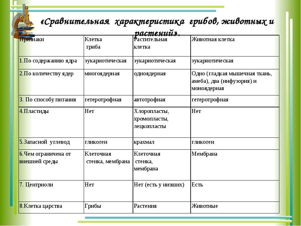 Почему грибы нельзя считать растениями?