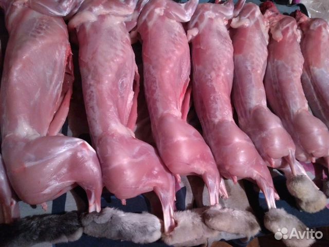 Какого цвета мясо кошки