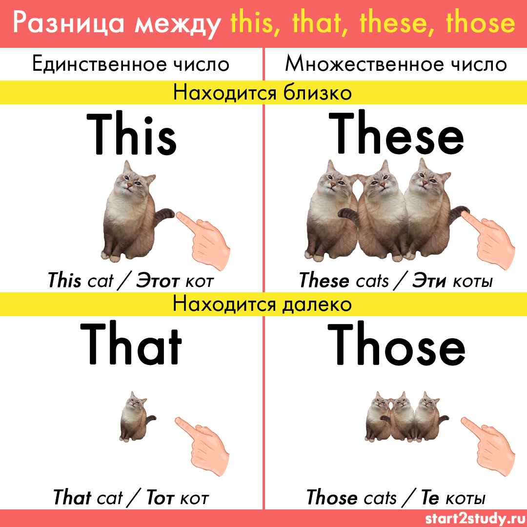There is? it is...? или this is? ⋆ английский с speakingo online ⋆