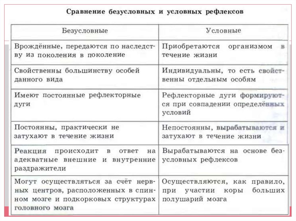 Рефлексы и инстинкты: их роль и значение для живых существ