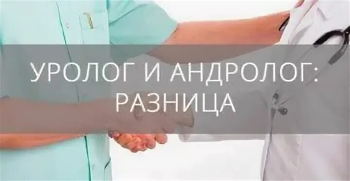 Чем уролог отличается от андролога * клиника диана в санкт-петербурге