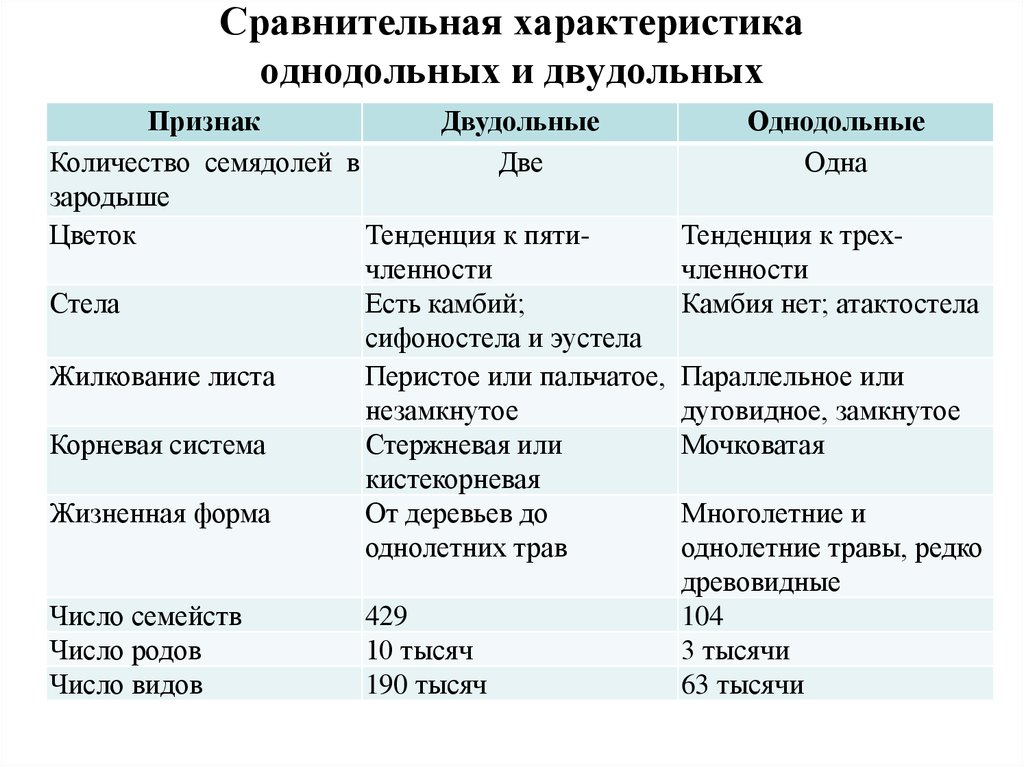 Характеристика и примеры однодольных и двудольных растений
