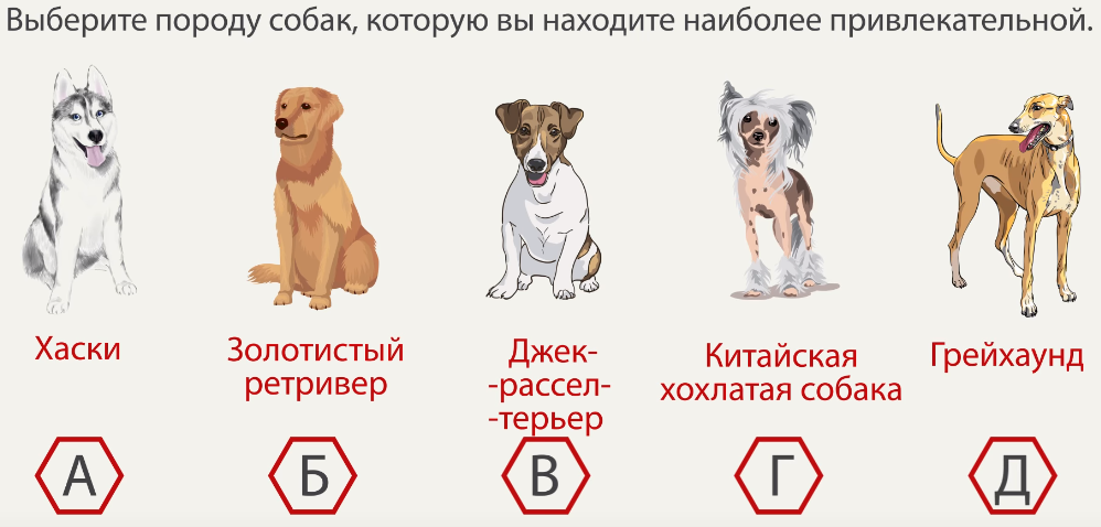 Как выбрать породу собаки