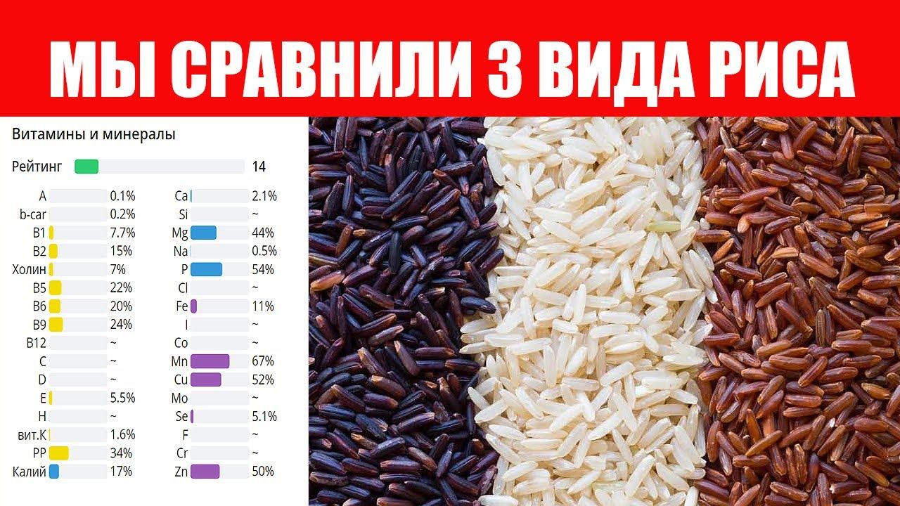 Белый рис vs коричневый рис – еда – польза и вред – 4fresh school