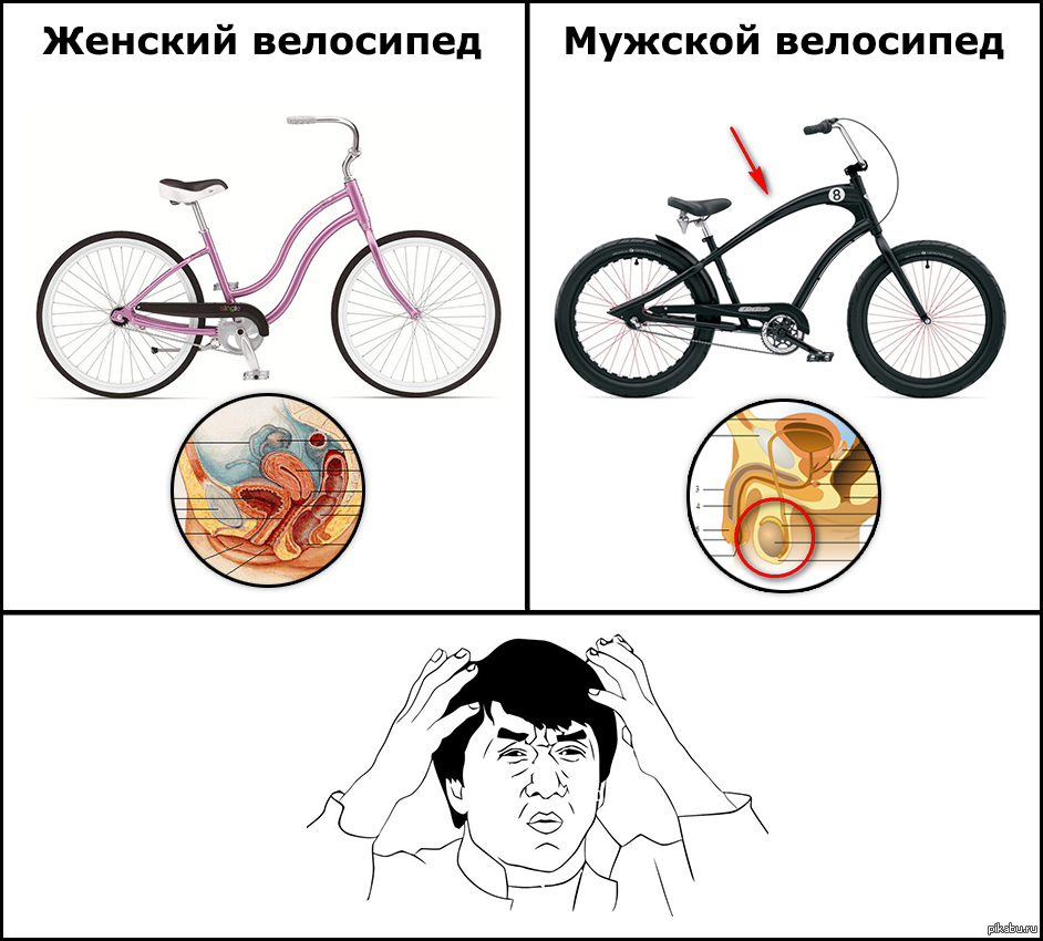 Как выбрать велосипед для женщины: особенности конструкции и комплектации