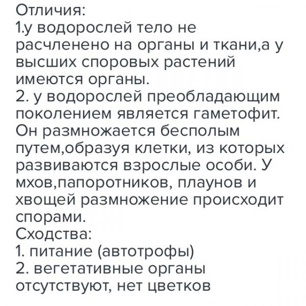 Разница между водорослями и мхом (с таблицей) - разница слово - 2024