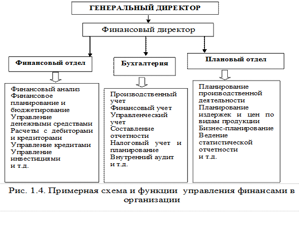 Подчиняется ли главный бухгалтер финансовому директору