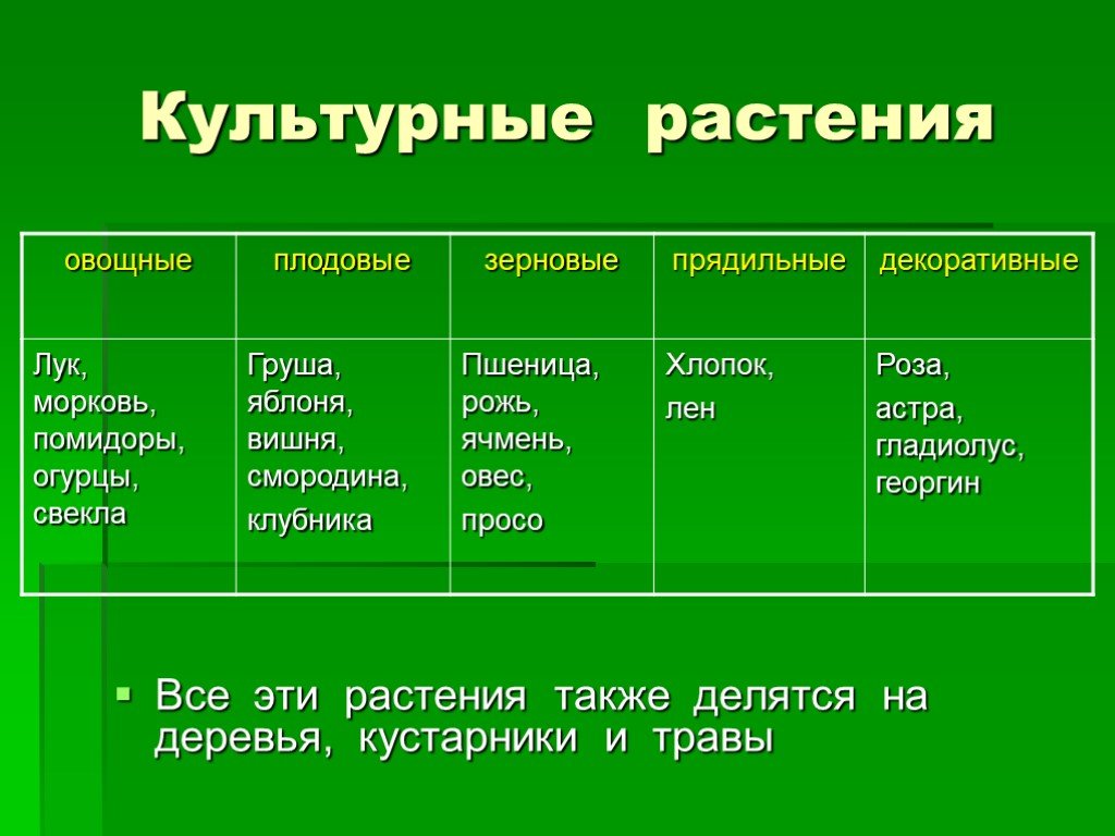 Что такое культурные и дикорастущие растения: различия и особенности