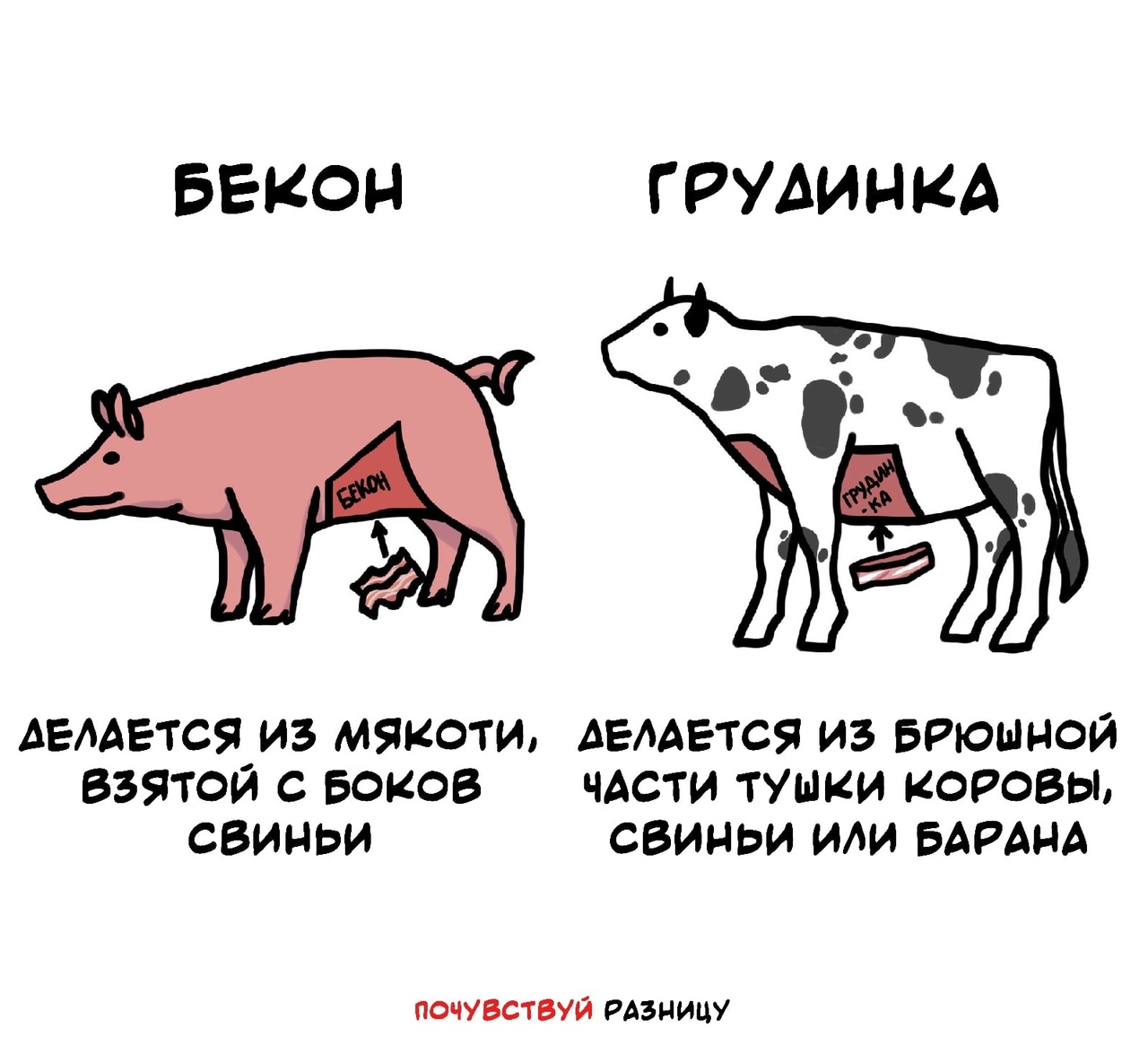 Разница между беконом и грудинкой