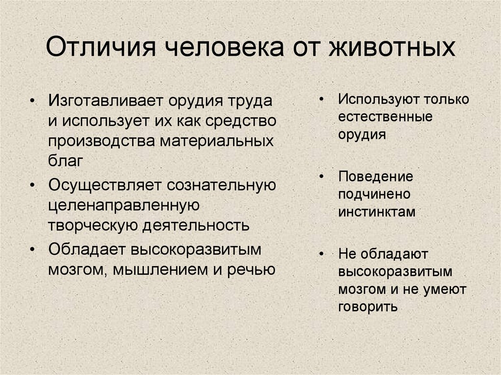 Отличия человека от животного: 12 основных признаков