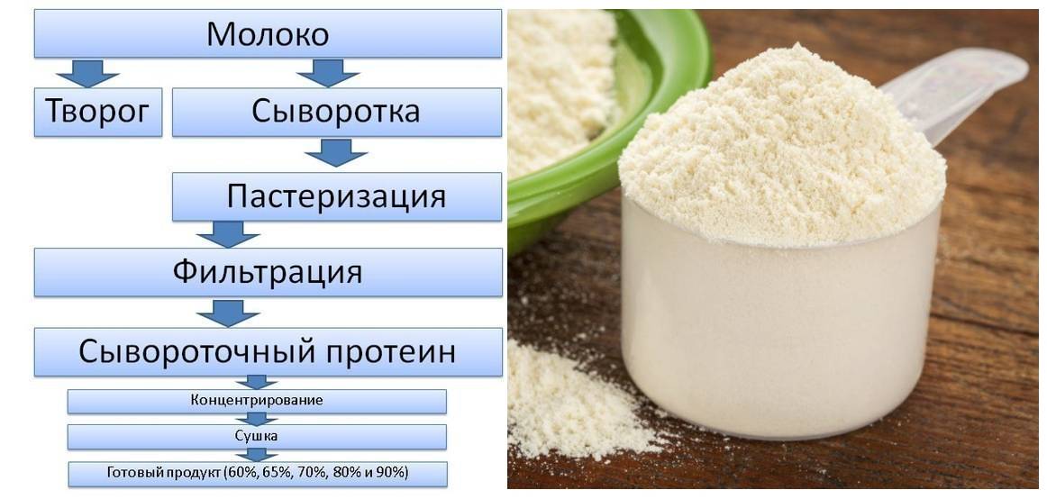 Чем сыворотка крови отличается от плазмы