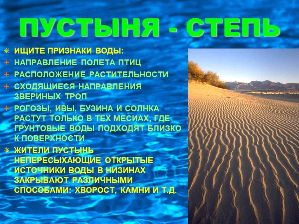 Таблица “характеристика природных зон мира”, их особенности