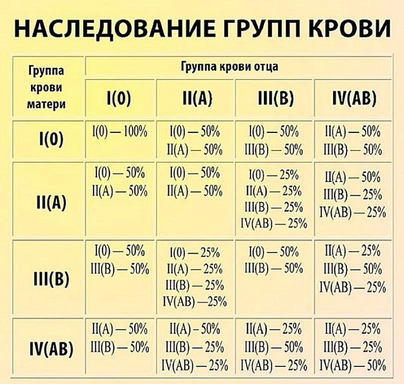 Группы крови и резус-фактор. урок биологии для чайников