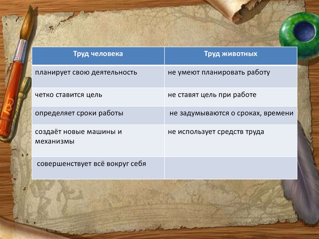 Труд человека и труд животного: принципиальные отличия