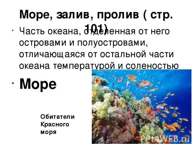 Мировой океан. воды и части суши мирового океана