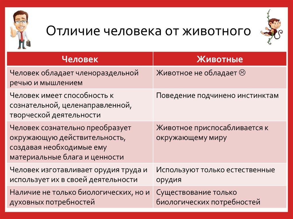 Отличительные особенности труда человека и животного