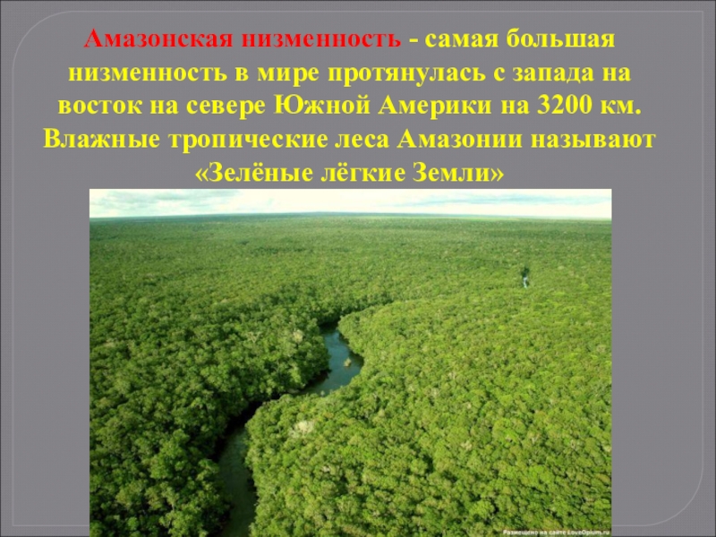 Амазонская низменность