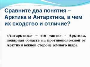 В чем разница между антарктидой и арктикой, где они находятся и отличия