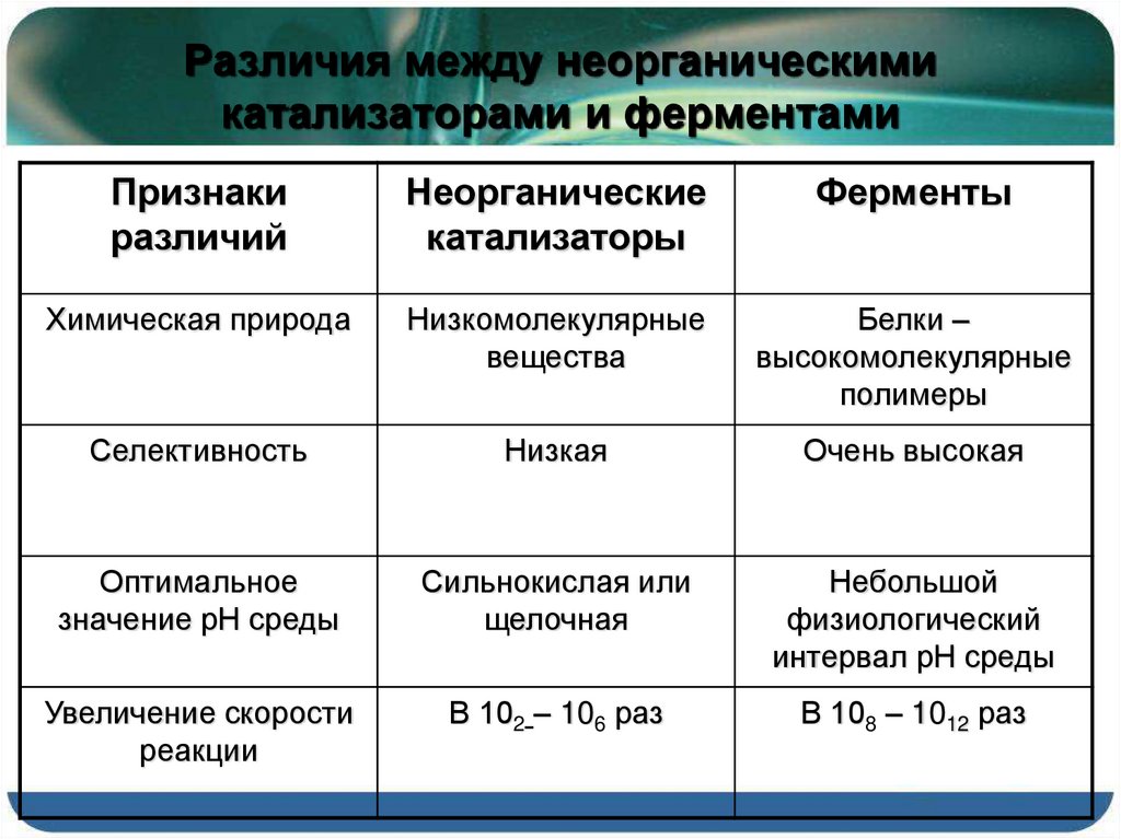 Сравнение неорганических катализаторов и биологических ферментов. отличия ферментов от неорганических катализаторов. общие свойства ферментов и неорганических катализаторов. специфичность действия ферментов, локализация в растительной клетке