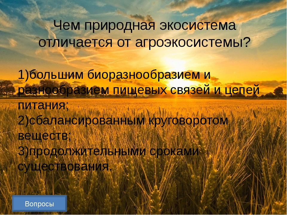 Как  характеризуется искусственная экосистема в отличие от естественной: в чем состоит сходство