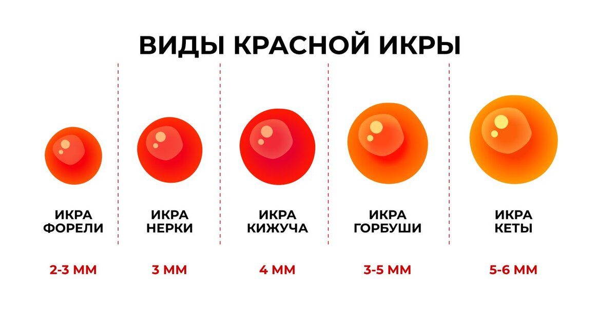 Различие красной икры от разных лососевых рыб - как определить - ulov.guru