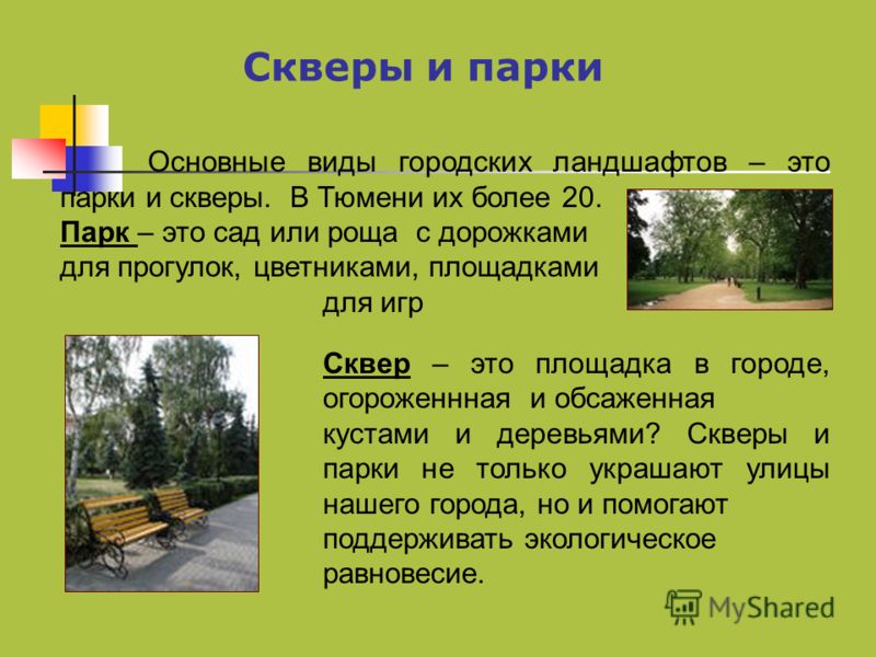 Загадки парк