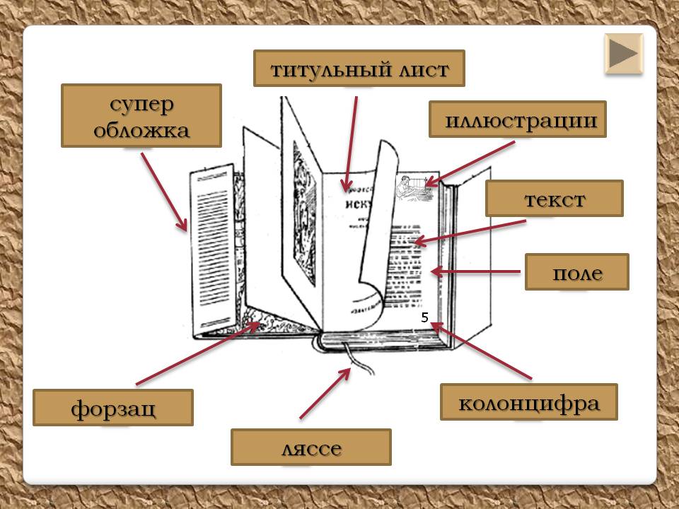 Что такое страница и лист тетради? все о разнице между страницей и листом тетради