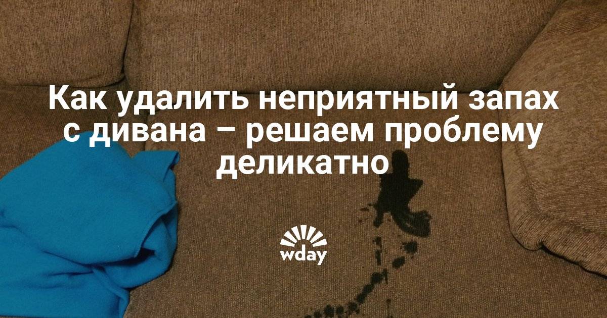 Как убрать запах и пятна мочи с дивана (кошачьей, собачьей и человека): эффективные средства и методы удаления