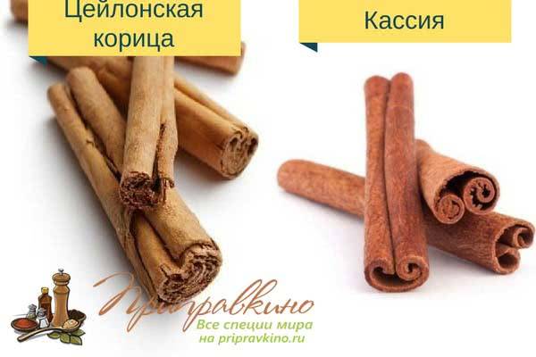 Кассия, или китайская корица — применение в народной медицине и в кулинарии