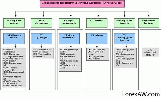 Процедура организации и оформления группы компаний