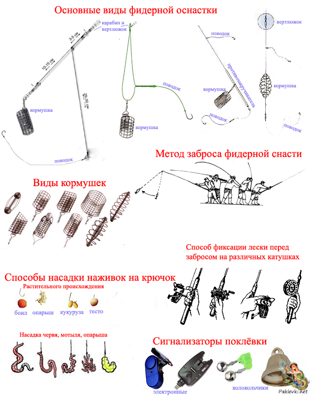 Чем отличается фидер от донки