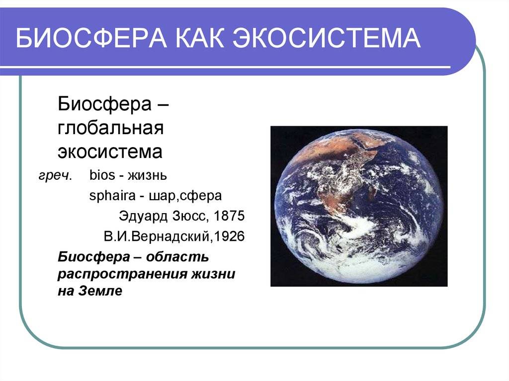 Раздел 1. основы экологии