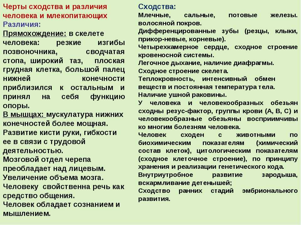 Чем отличаются звери от млекопитающих. разница между млекопитающими и другими животными