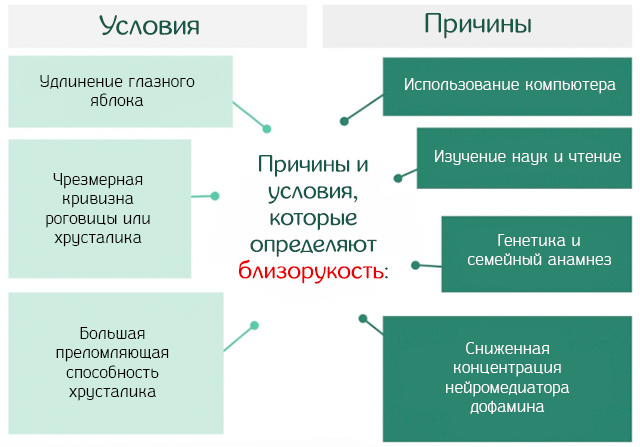 Разница между предпосылками и причинами. разница между «в отличие» и «в отличии