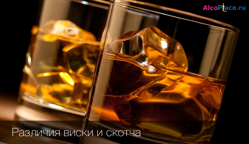 Шотландский виски: что нужно знать