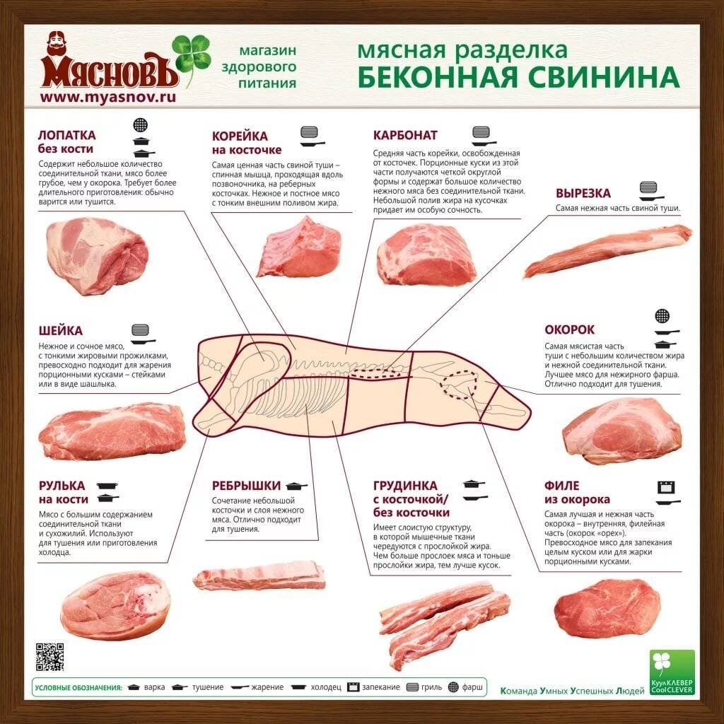 Какая часть свинины для каких блюд используется в приготовлении - omvesti.com