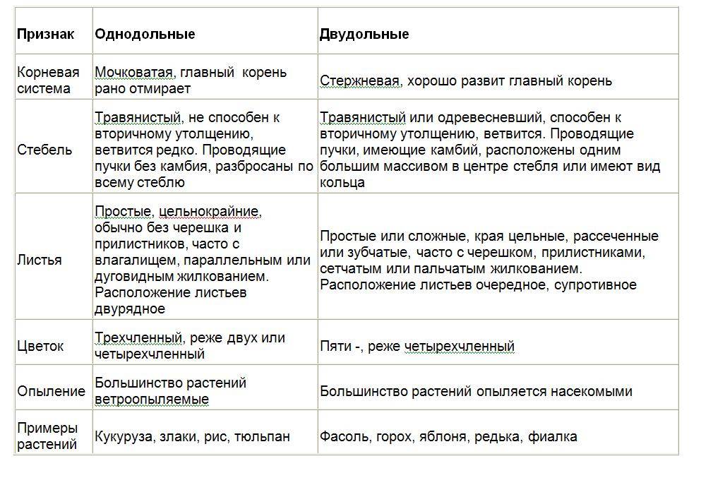 Биология