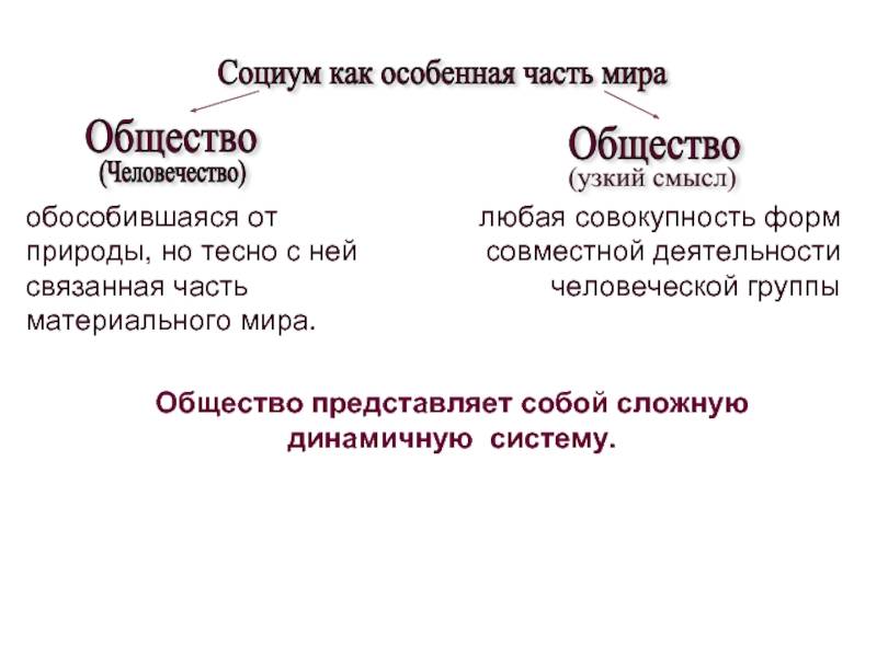 Что отличает общество от социума