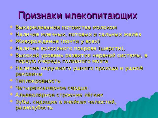 Чем млекопитающие отличаются от представителей других. различие млекопитающих с птицами, рептилиями, амфибиями и рыбами