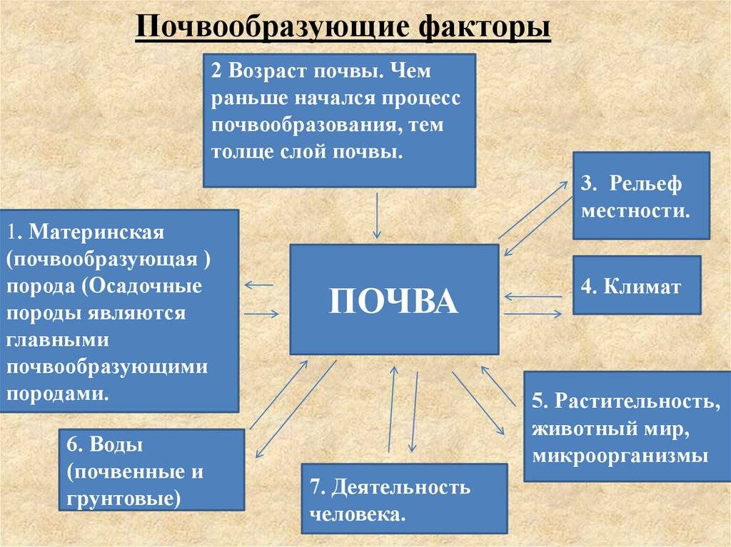 Формирование и свойства почвы - справочник для студентов и школьников