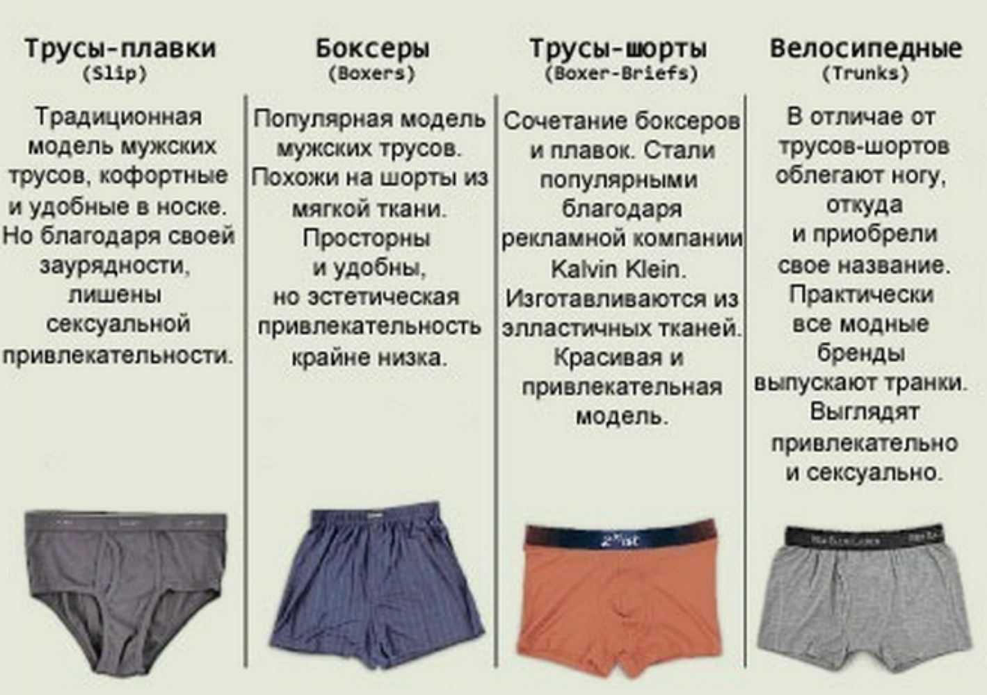Разница между трусами и плавками