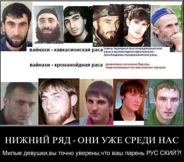 В чем разница между чеченцами и дагестанцами - questquotient.ru