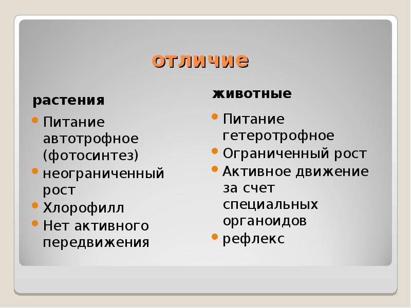 3.4. отличия растений от животных. экология: конспект лекций.