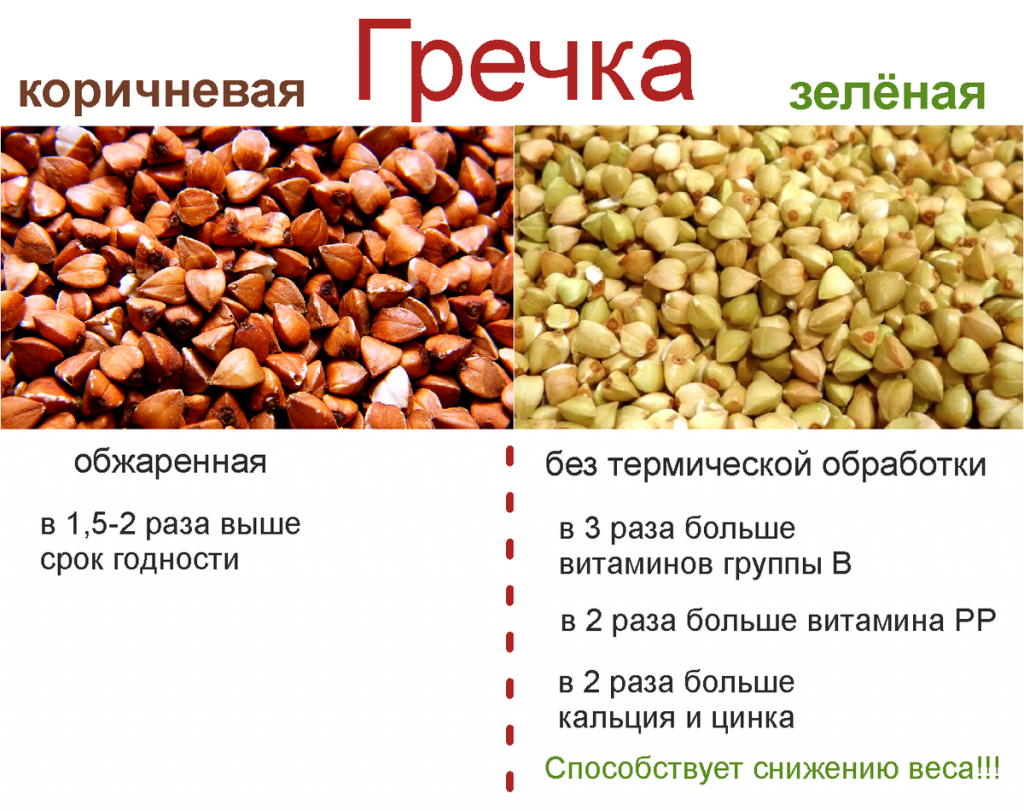 Чем полезна зеленая гречка: рецепты для правильного питания