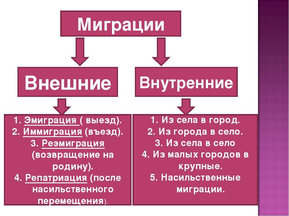Разница между иммиграцией и эмиграцией - разница между - 2024