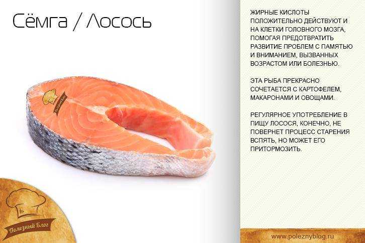 Лосось и семга: в чем разница