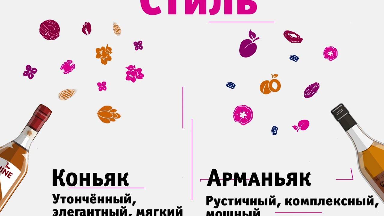 Арманьяк: польза и химический состав напитка | food and health