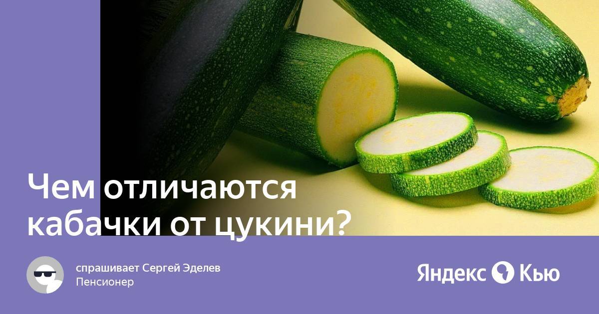 Цукини и кабачки: чем отличаются по вкусу и внешнему виду