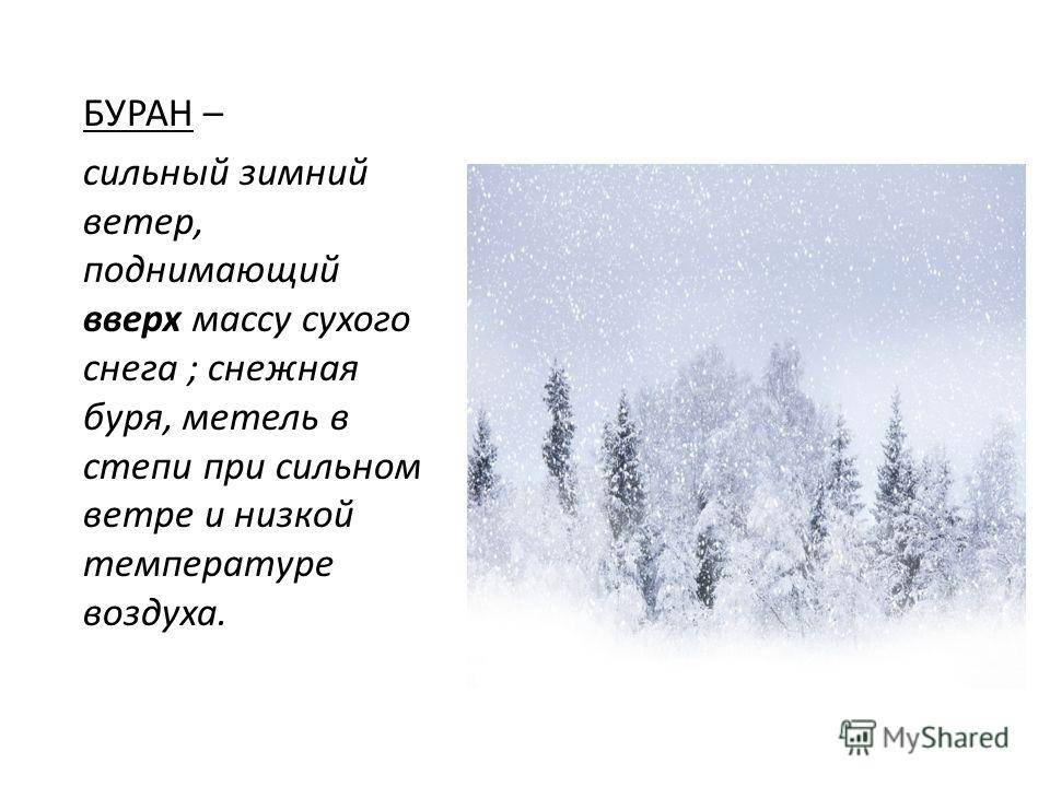 Что отличает метель от вьюги и пурги: разбираемся